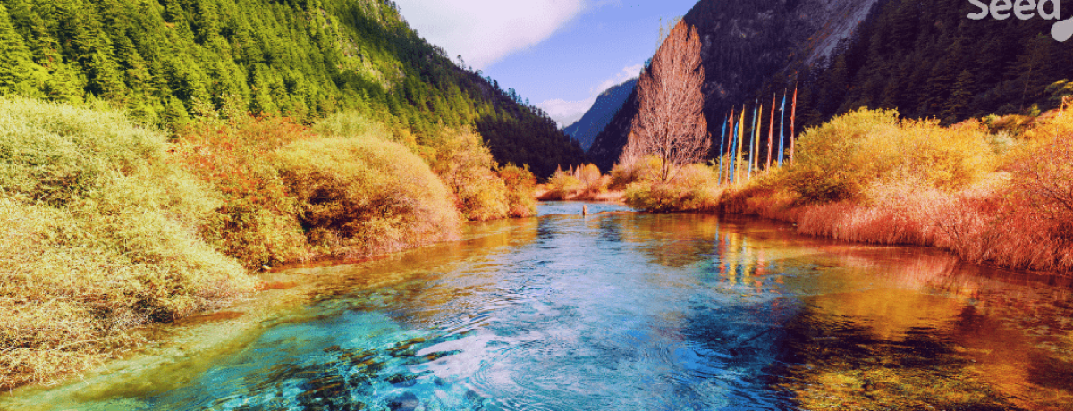 A River Runs through it